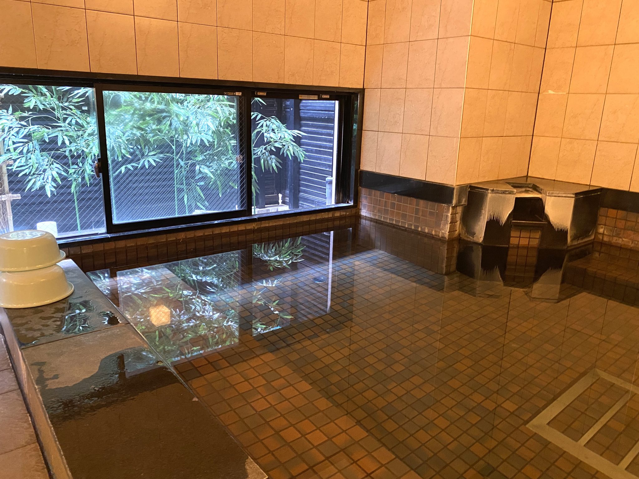 グリーンリッチホテル広島新幹線口 — 広島市東区若草町 · 1階の人工温泉大浴場、窓の外に植栽