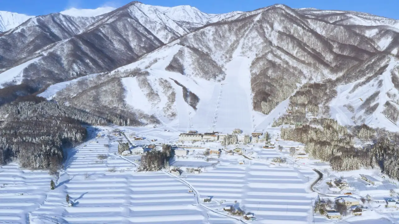 THE ALPS HOTEL HAKUBA — 長野県小谷村 · 白馬乗鞍温泉スキー場のゲレンデと麓のホテル群を望む冬の空撮